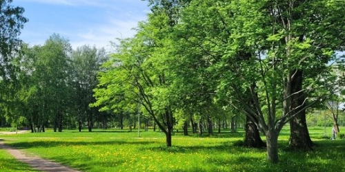 2-комн квартира шоссе Революции,  д. 33,  к. 2