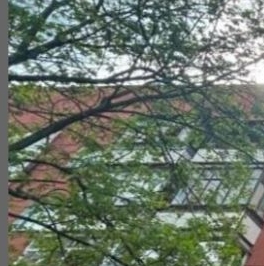 Продажа 1-комн квартиры на вторичном рынке Большая Серпуховская улица, 34К5