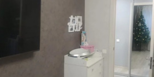 1-комн квартира Ногинск, ул. Декабристов,  д. 164