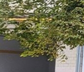 Продать Квартиры вторичка Дмитровское шоссе, 3К1   