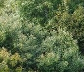 Продать Земельные участки, земля Пять холмов ДНП, 512   