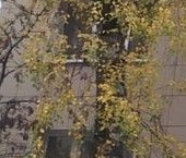 Продать Квартиры вторичка Центральный мкр, шоссе Каширское, 61   