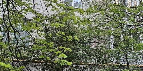 1-комн квартира улица Сталеваров, 8/22К1