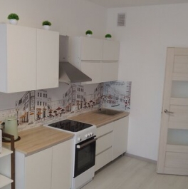 Продажа 1-комн квартиры на вторичном рынке проспект Авиаконструкторов,  д. 67 к1
