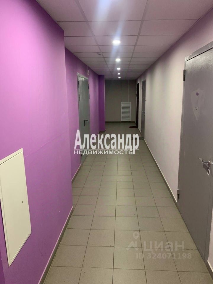 Аренда студии Комендантский проспект, 61