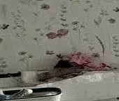 Продать Квартиры вторичка Рождественская улица, 4   