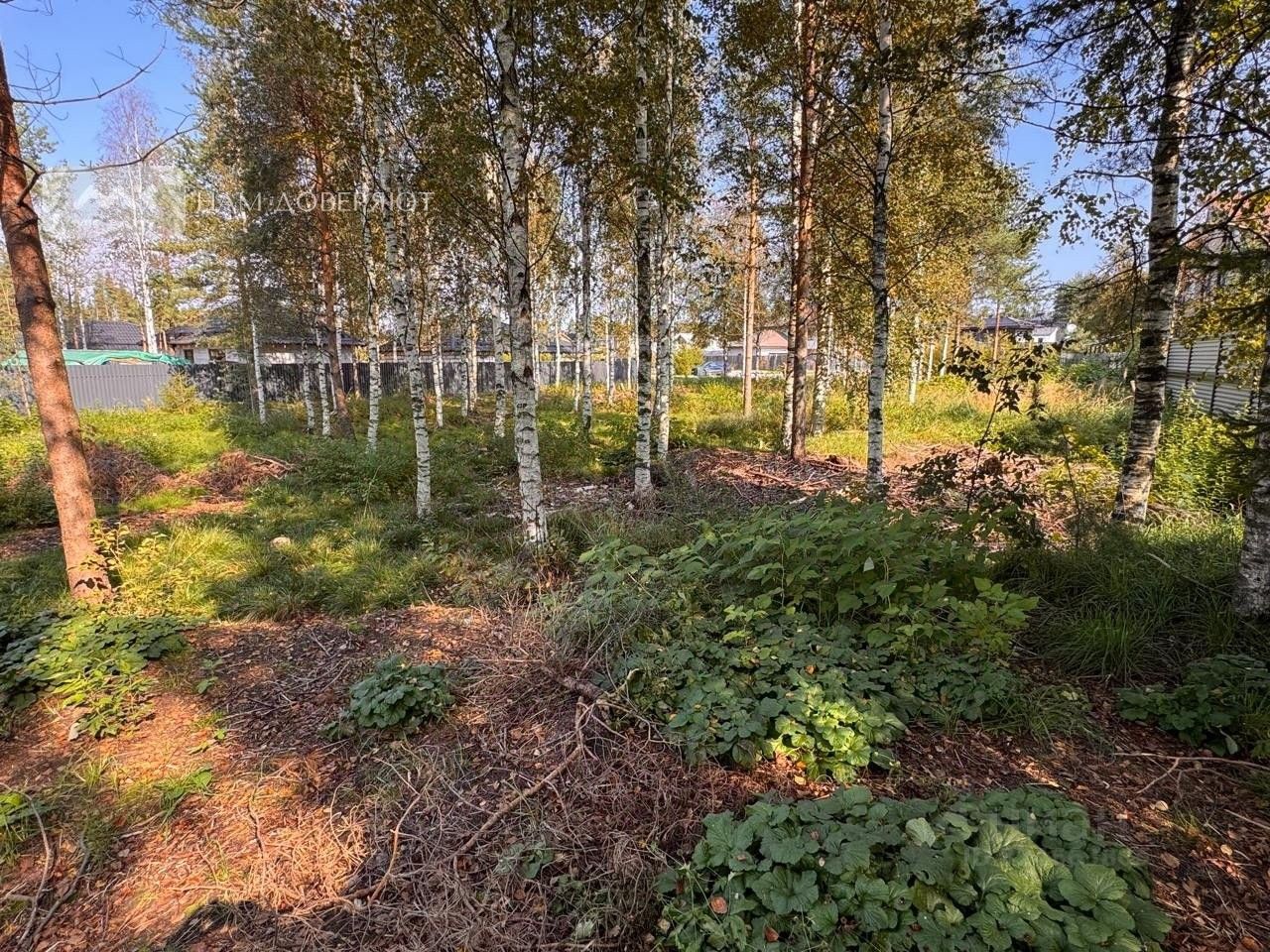 Продажа земли Охтинский парк кп, д. Энколово, улица Левашова