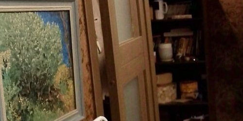 3-комн квартира Кирочная улица, 17