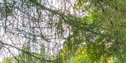 2-комн квартира Тверская улица, 1