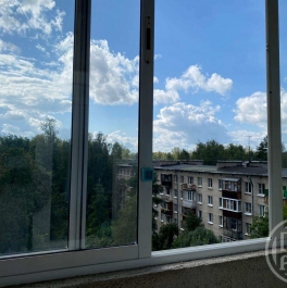 Продажа 2-комн квартиры на вторичном рынке Шушары пос., Центральная (Детскосельский) ул. ,  д. 12