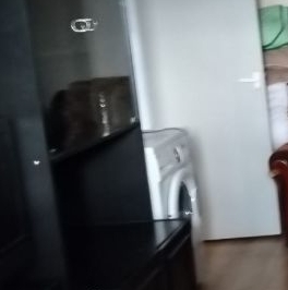 Аренда 1-комн квартиры на вторичном рынке Петергоф, Собственный проспект, 36/67 Аренда 1-комн квартиры на вторичном рынке Петергоф, Собственный проспект, 36/67