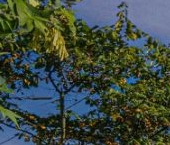 Продать Квартиры вторичка Большой Смоленский проспект, 30   