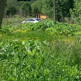 Продажа земли д. Усадище, улица Береговая, 6