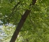 Продать Квартиры вторичка 5-я Парковая улица, 42   