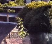 Продать Дачи, коттеджи, загородные дома пос. Лисий Нос, улица Морские дубки, 11   