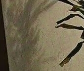 Продать Квартиры вторичка Ленинский проспект, 100К2   