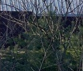 Продать Земельные участки, земля Приозерск, Песочная улица, 1А   