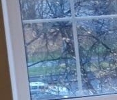 Продать Квартиры вторичка Минусинская улица, 11   