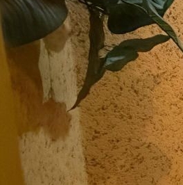 Продажа 3-комн квартиры на вторичном рынке Привольная улица, 25 Продажа 3-комн квартиры на вторичном рынке Привольная улица, 25