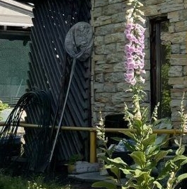 Продажа дома Шлиссельбург, улица Преображенская, 31 Продажа дома Шлиссельбург, улица Преображенская, 31