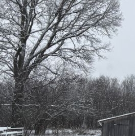 Продажа земли пос. Алексеевка, улица Лесная