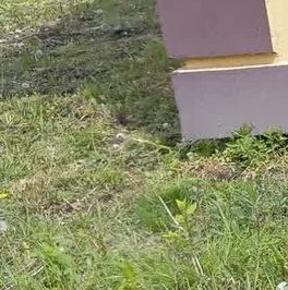 Продажа дома пос. Торфяное, улица Северная