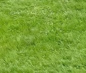 Продать Земельные участки, земля Красносельское ТСН, аллея 16-я   