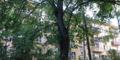 2-комн квартира Новикова-Прибоя набережная,  д. 12,  к. 3