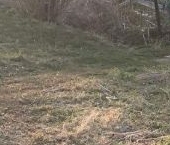 Продать Дачи, коттеджи, загородные дома Петергоф, улица Дзержинского, 53   