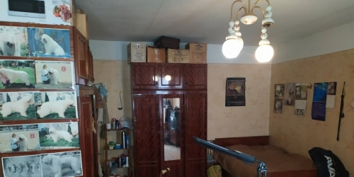 Комната 9-я Советская ул. ,  д. 39/24