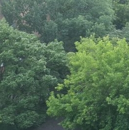 Продажа 3-комн квартиры на вторичном рынке Тверская улица, 25/9