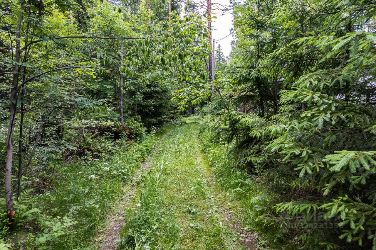 Продажа дома Борки дачный потребительский кооператив,  д. 468