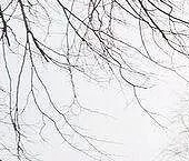 Продать Квартиры вторичка улица Академика Константинова, 4К1   