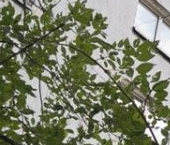 Продать Квартиры вторичка Люберцы, Комсомольский проспект, 13   