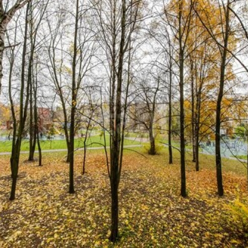 1-комн квартира Рабфаковский 2-й пер,  д. 7 к2