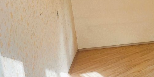 1-комн квартира Якорная улица, 1к2