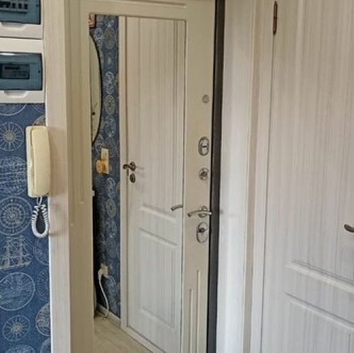 4-комн квартира Ветеранов пр-кт,  д. 67,  к. 4