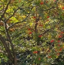 Продажа 1-комн квартиры на вторичном рынке Серпухов, Звездная улица, 3