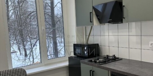 1-комн квартира Снежная улица,  д. 1