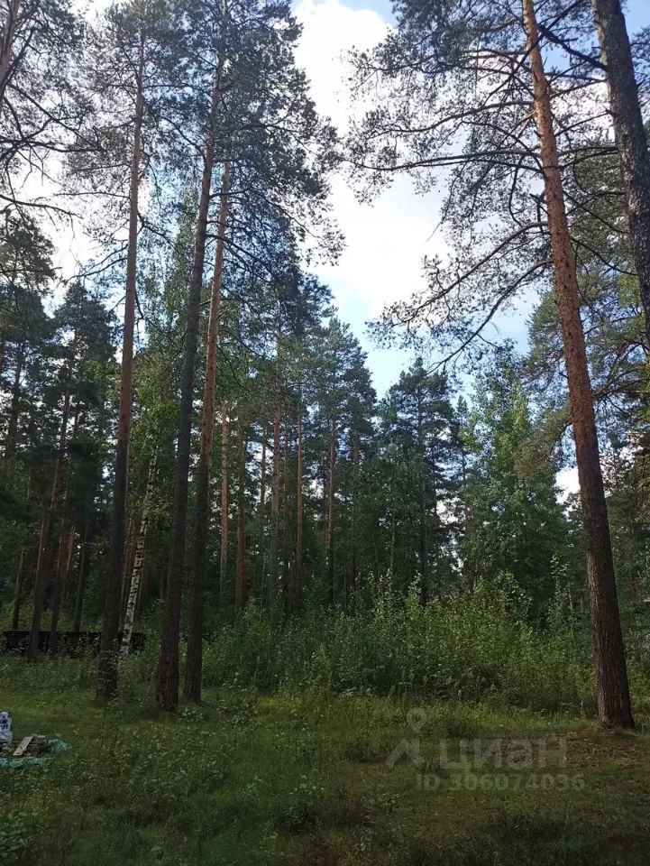 Продажа земли Всеволожск, проспект Козлова