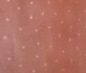 Сдать в аренду Квартиры вторичка 1-й Грайвороновский проезд, 13к1   