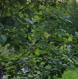 Продажа дома д. Глинка, улица Круговая