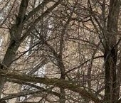 Продать Квартиры вторичка улица Академика Комарова, 7   