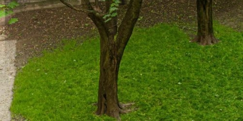 2-комн квартира улица Маяковского, 40