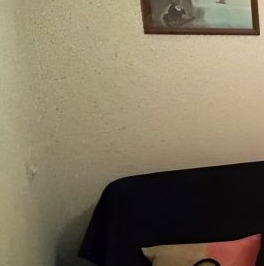 Аренда 1-комн квартиры на вторичном рынке Реутов, Юбилейный проспект, 63