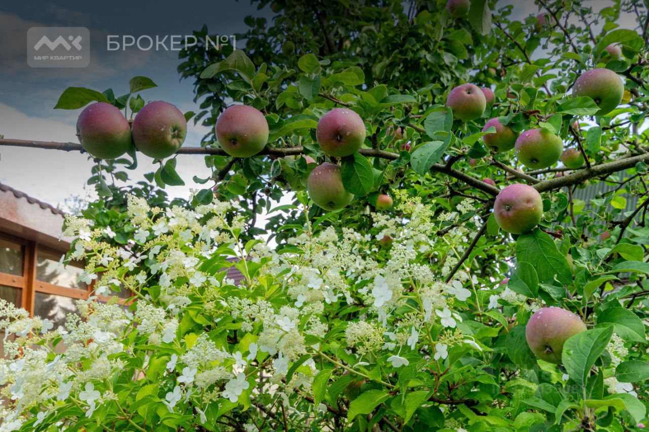 Продажа дома Сестрорецк, Разлив СНТ, дорожка 23-я, 30/21