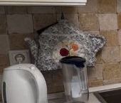 Сдать в аренду Квартиры вторичка улица Чечулина, 14   