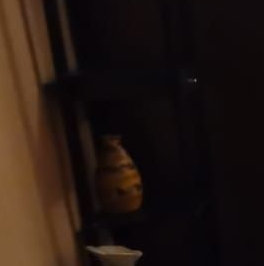 Аренда 2-комн квартиры на вторичном рынке Химки, улица Гоголя, 17 Аренда 2-комн квартиры на вторичном рынке Химки, улица Гоголя, 17