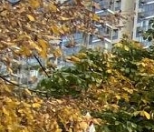 Продать Квартиры вторичка Красногорск, бульвар Красногорский, 23к2   