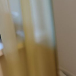 Аренда 1-комн квартиры на вторичном рынке Колпино, Тверская улица, 66